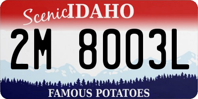 ID license plate 2M8003L