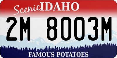 ID license plate 2M8003M