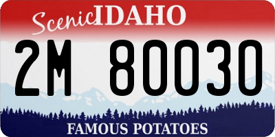 ID license plate 2M8003O