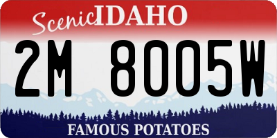 ID license plate 2M8005W