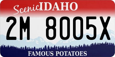 ID license plate 2M8005X