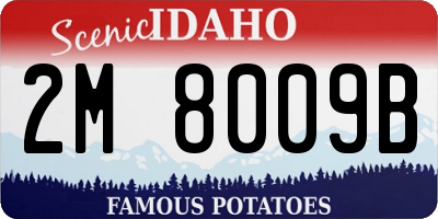 ID license plate 2M8009B