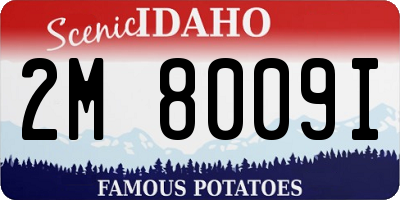 ID license plate 2M8009I