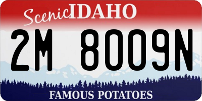 ID license plate 2M8009N