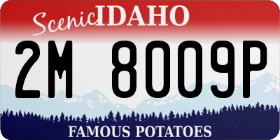 ID license plate 2M8009P