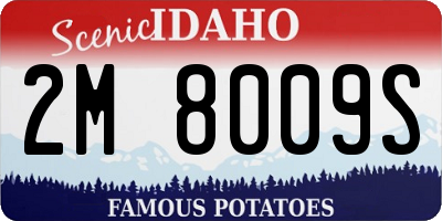 ID license plate 2M8009S