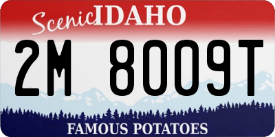 ID license plate 2M8009T