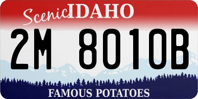ID license plate 2M8010B