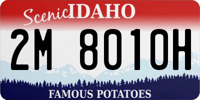 ID license plate 2M8010H