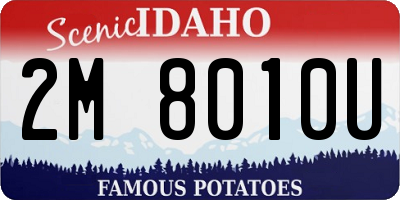 ID license plate 2M8010U