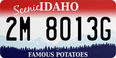 ID license plate 2M8013G