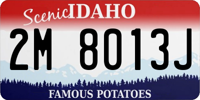 ID license plate 2M8013J