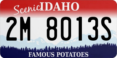 ID license plate 2M8013S