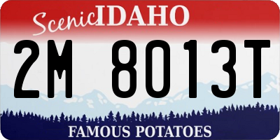 ID license plate 2M8013T