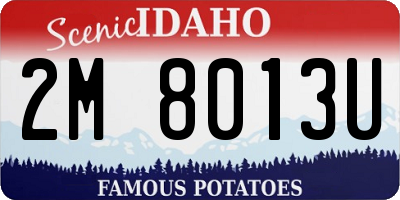 ID license plate 2M8013U