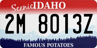 ID license plate 2M8013Z