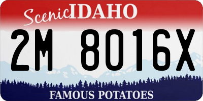 ID license plate 2M8016X