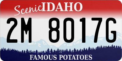 ID license plate 2M8017G