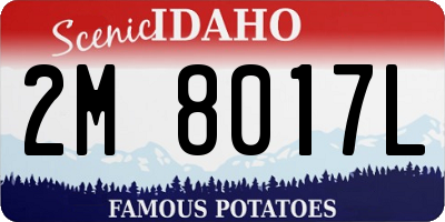 ID license plate 2M8017L