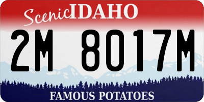 ID license plate 2M8017M