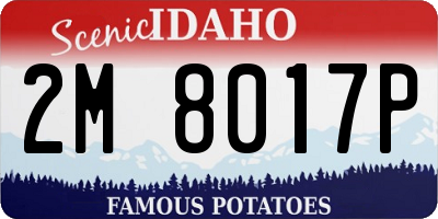 ID license plate 2M8017P