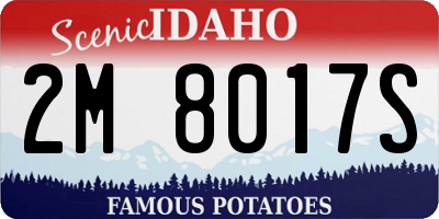 ID license plate 2M8017S