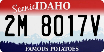 ID license plate 2M8017V