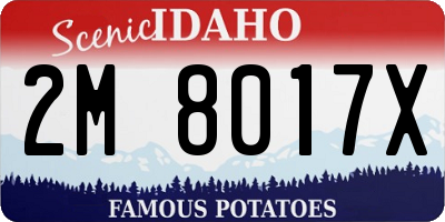 ID license plate 2M8017X