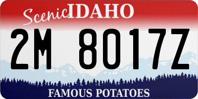 ID license plate 2M8017Z