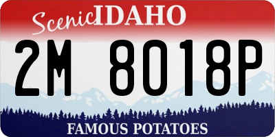 ID license plate 2M8018P
