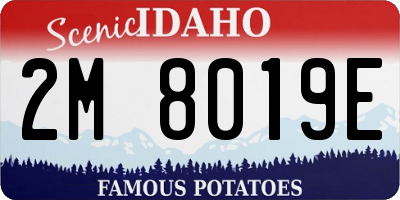 ID license plate 2M8019E