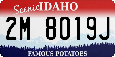 ID license plate 2M8019J