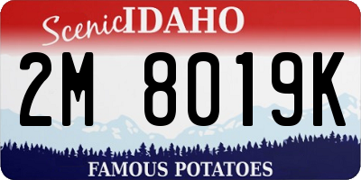 ID license plate 2M8019K