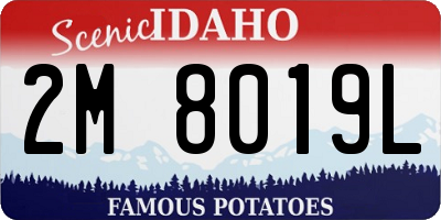 ID license plate 2M8019L