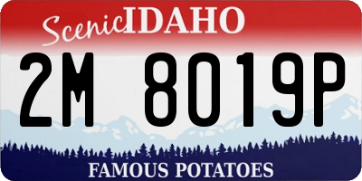 ID license plate 2M8019P
