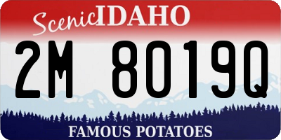 ID license plate 2M8019Q