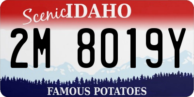 ID license plate 2M8019Y