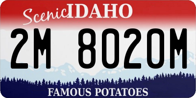 ID license plate 2M8020M