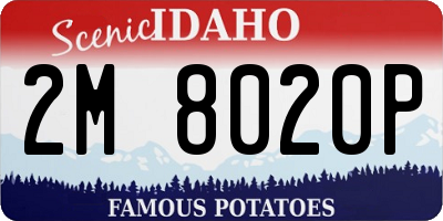 ID license plate 2M8020P