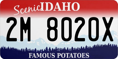 ID license plate 2M8020X