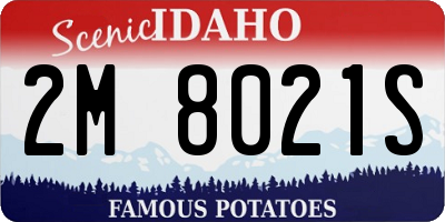 ID license plate 2M8021S