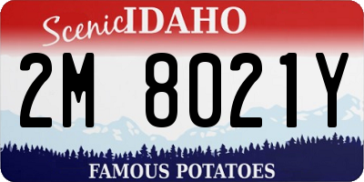 ID license plate 2M8021Y