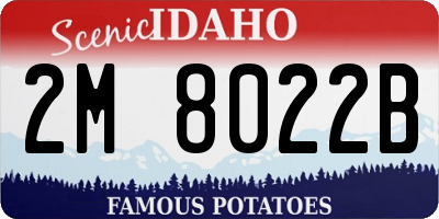 ID license plate 2M8022B