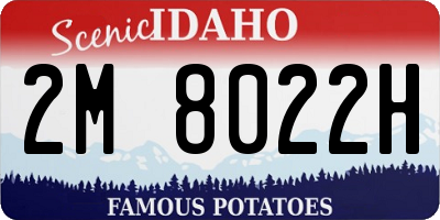 ID license plate 2M8022H
