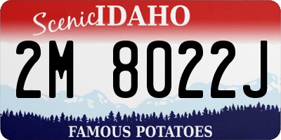 ID license plate 2M8022J
