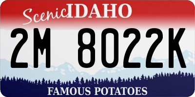 ID license plate 2M8022K