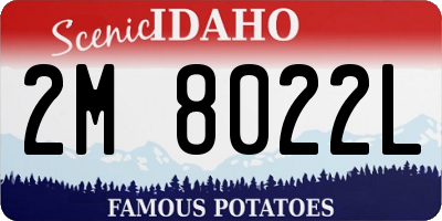 ID license plate 2M8022L