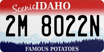ID license plate 2M8022N
