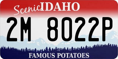 ID license plate 2M8022P