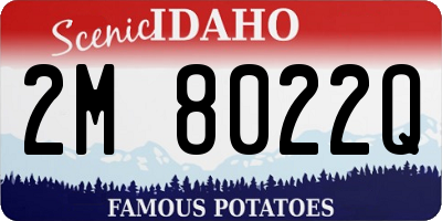 ID license plate 2M8022Q